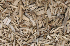 biomass boilers Evelix